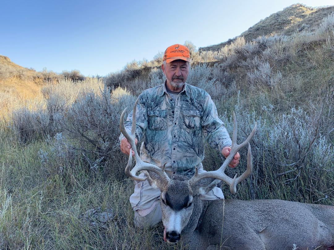 2019 mule deer.jpg