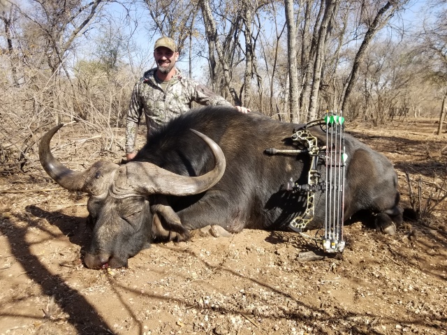 2019 Todd Buffalo 1 Reduced.jpg