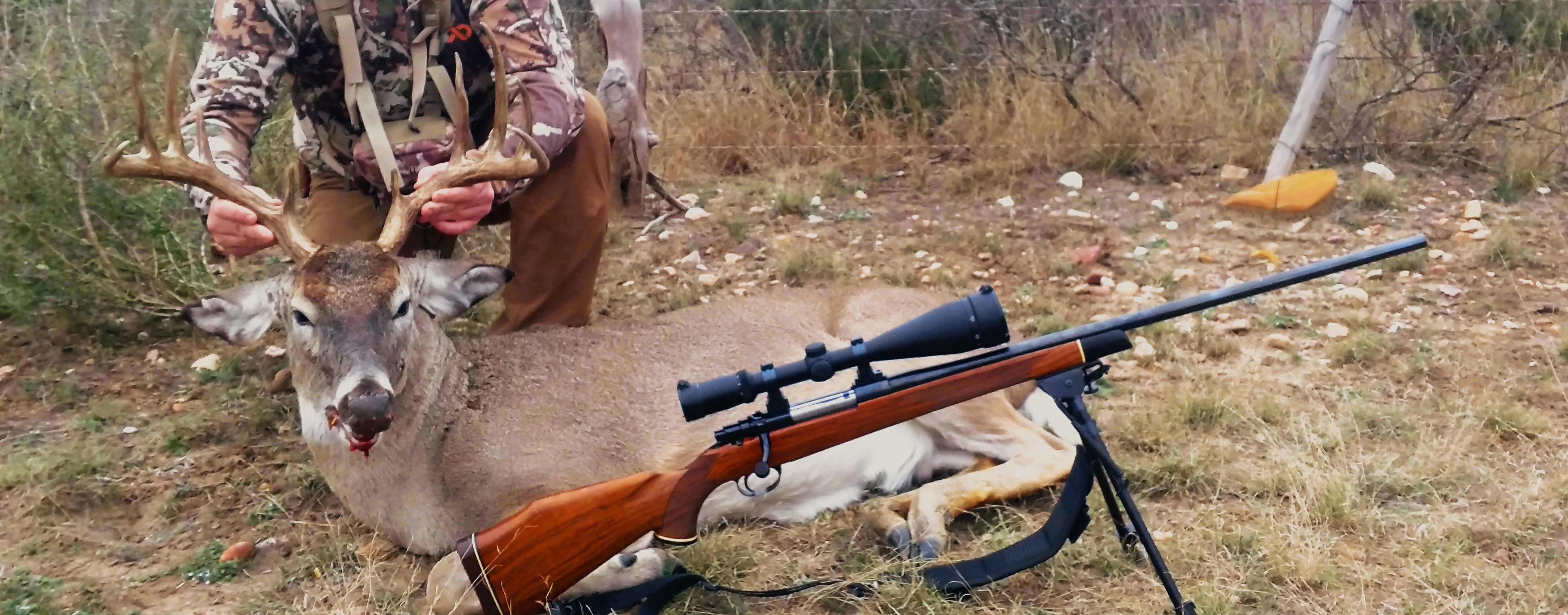 2019 TX 257.jpg