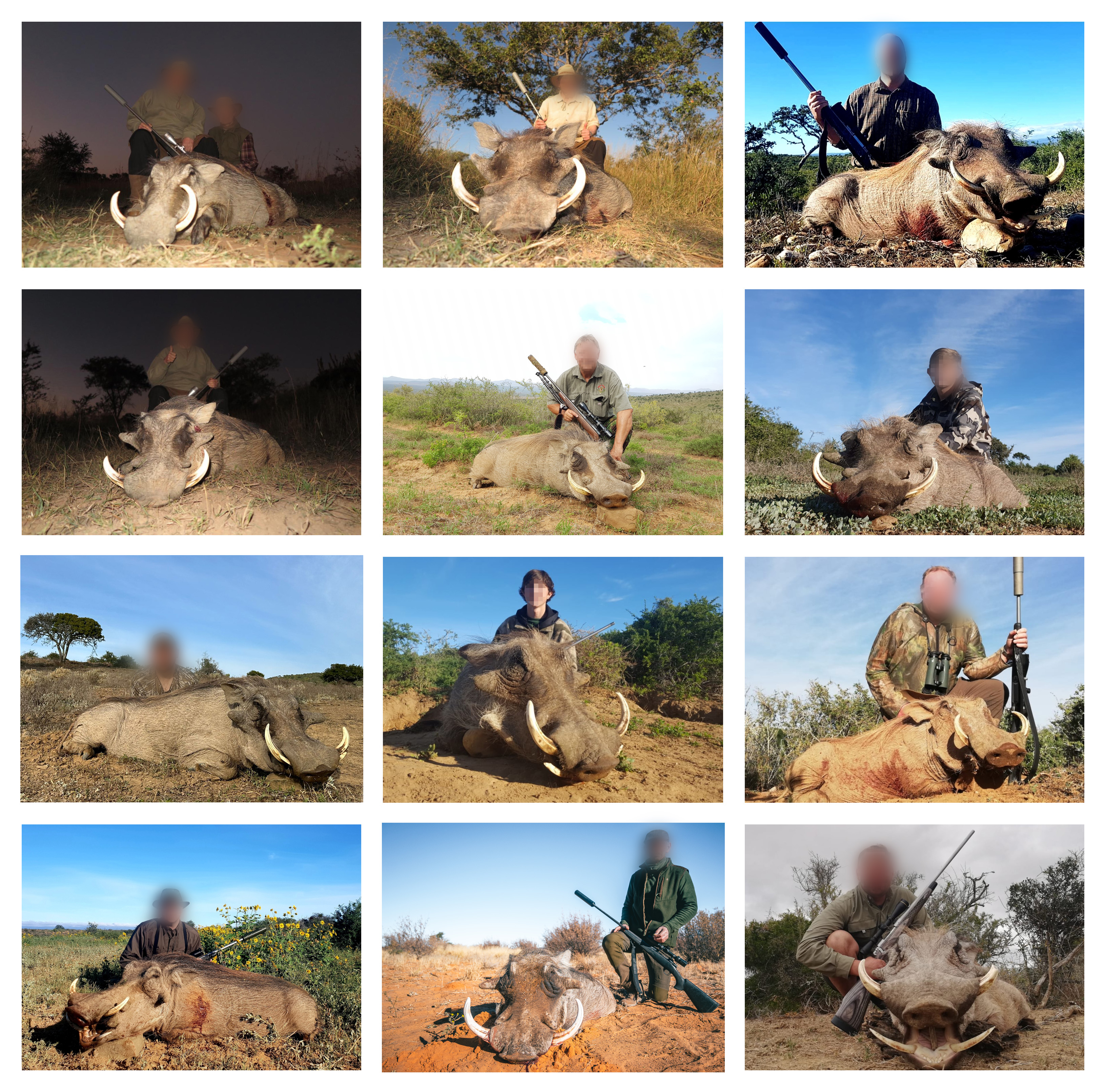 2019 warthog collage.jpg 2019 warthog collage.jpg