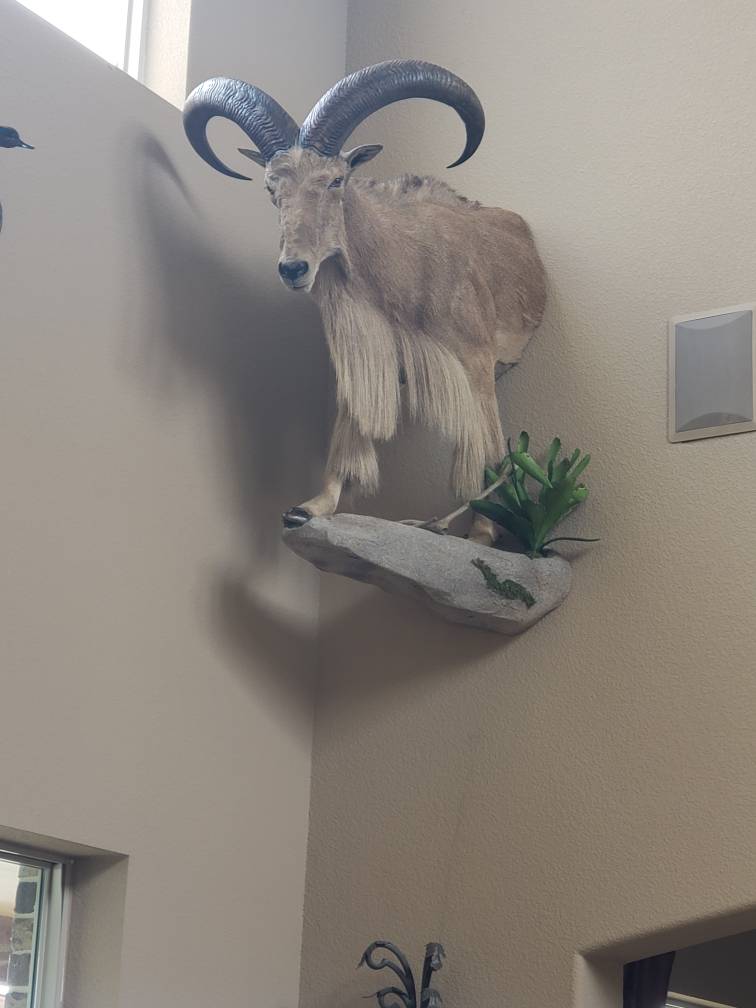 20190329_132949.jpeg
