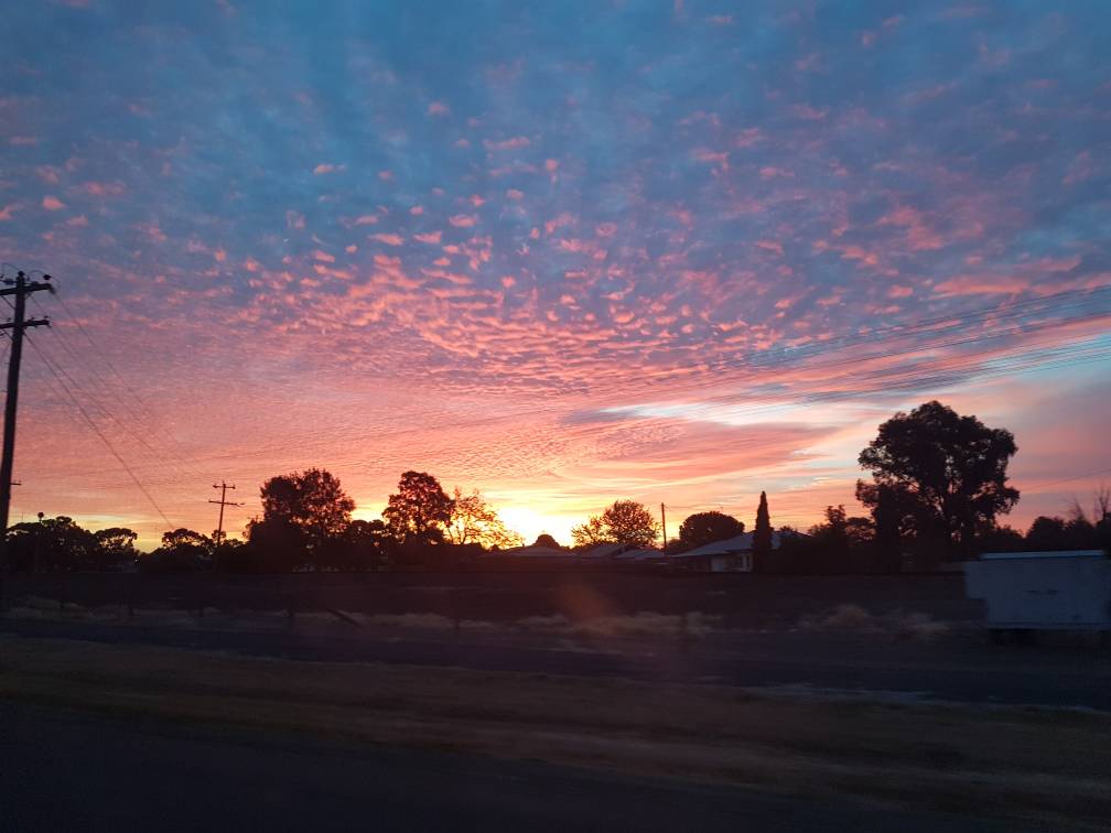 20190418_181311.jpeg