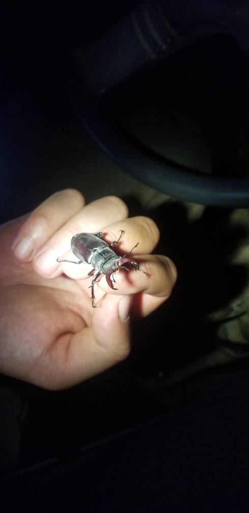 20190630_214516.jpeg