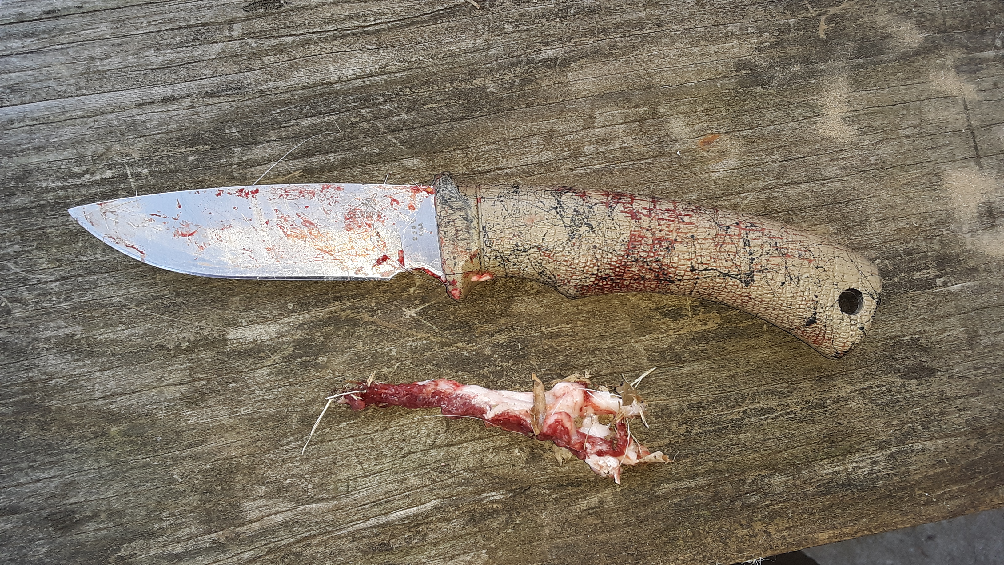 2020 small doe piece of rib.jpg