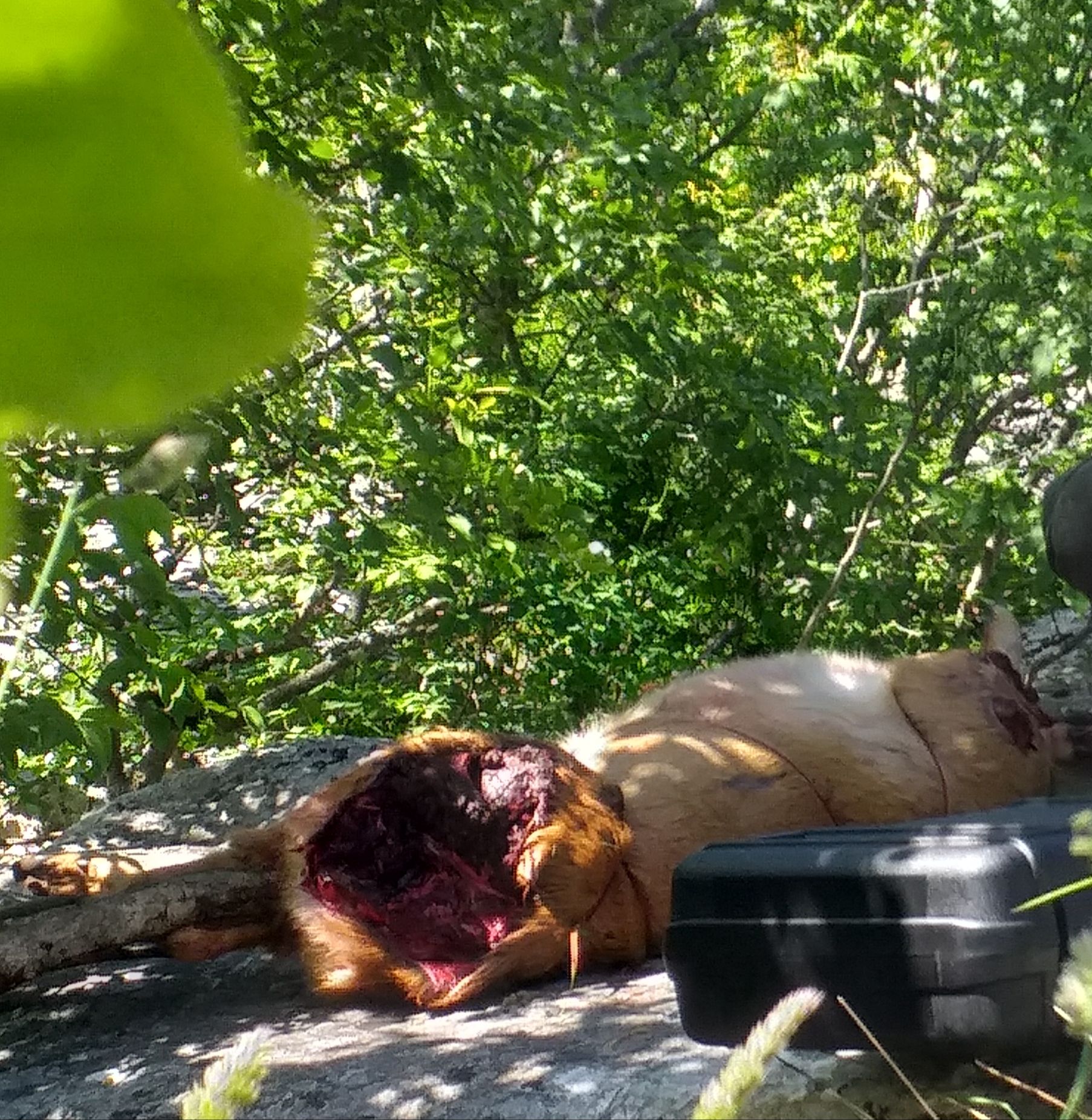 20200915_171429.jpg