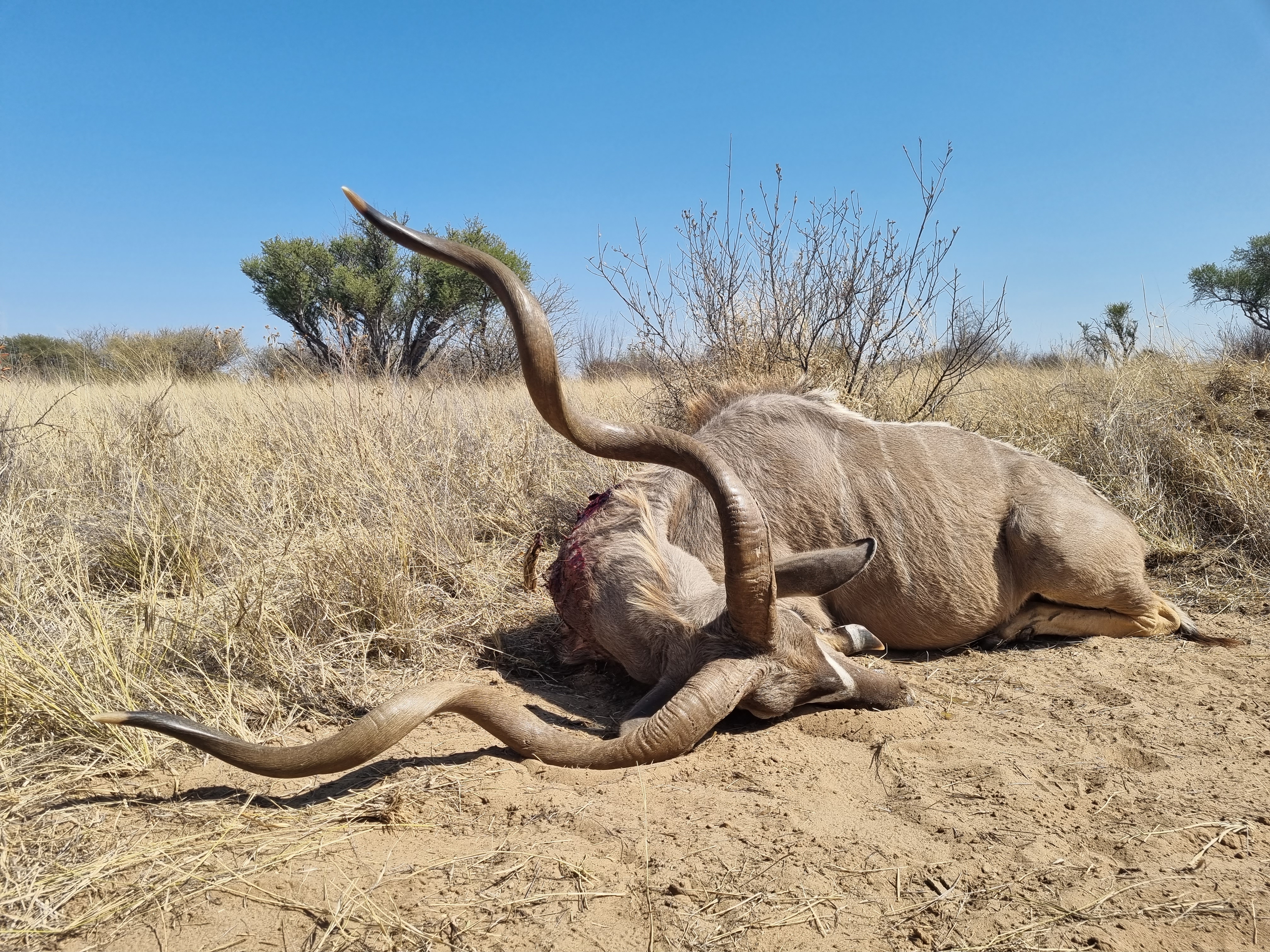 20230815_120843-jpg.729523