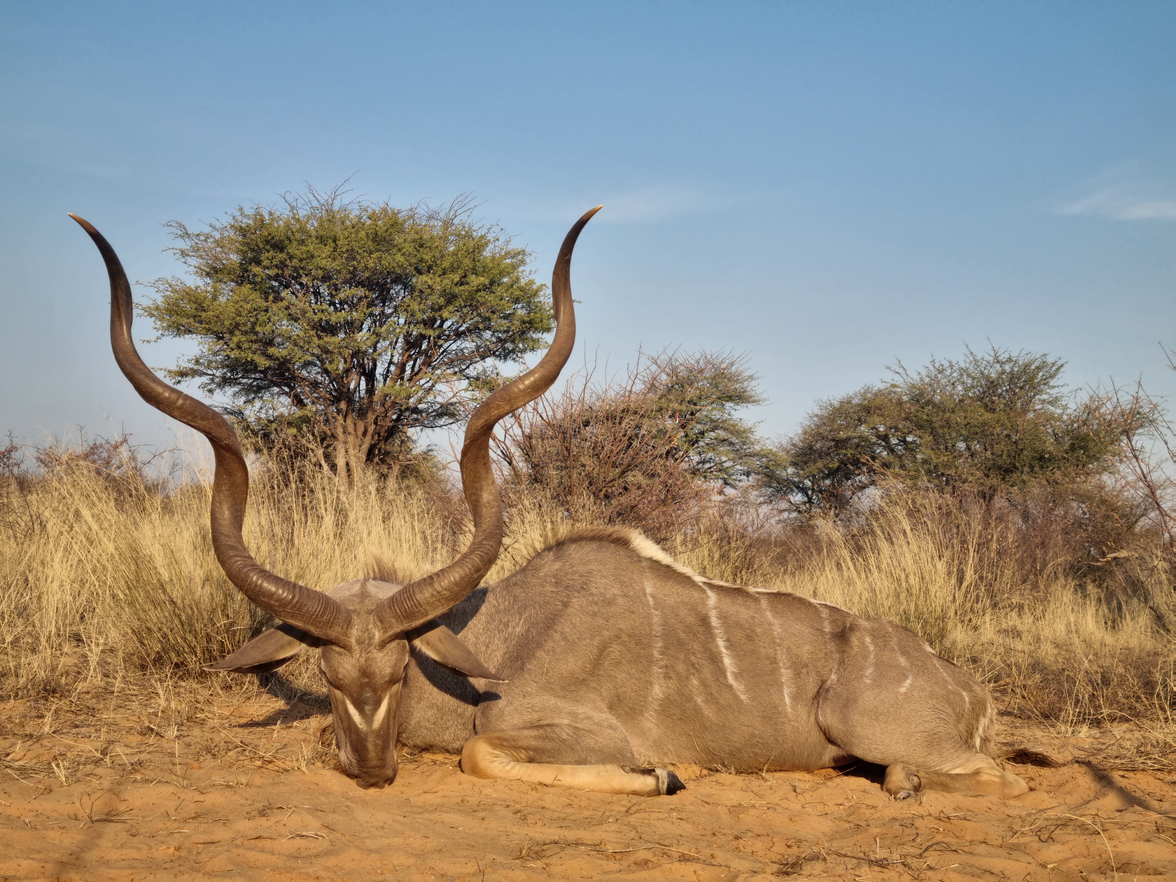 20230815_165548-jpg.729348