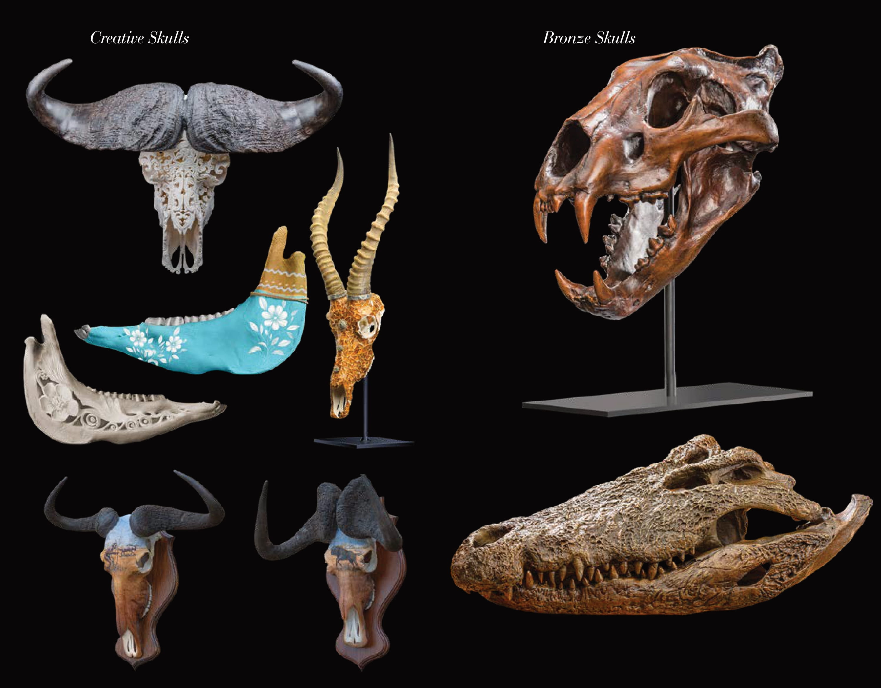 2025-LIFE-FORM TAXIDERMY-40.jpg