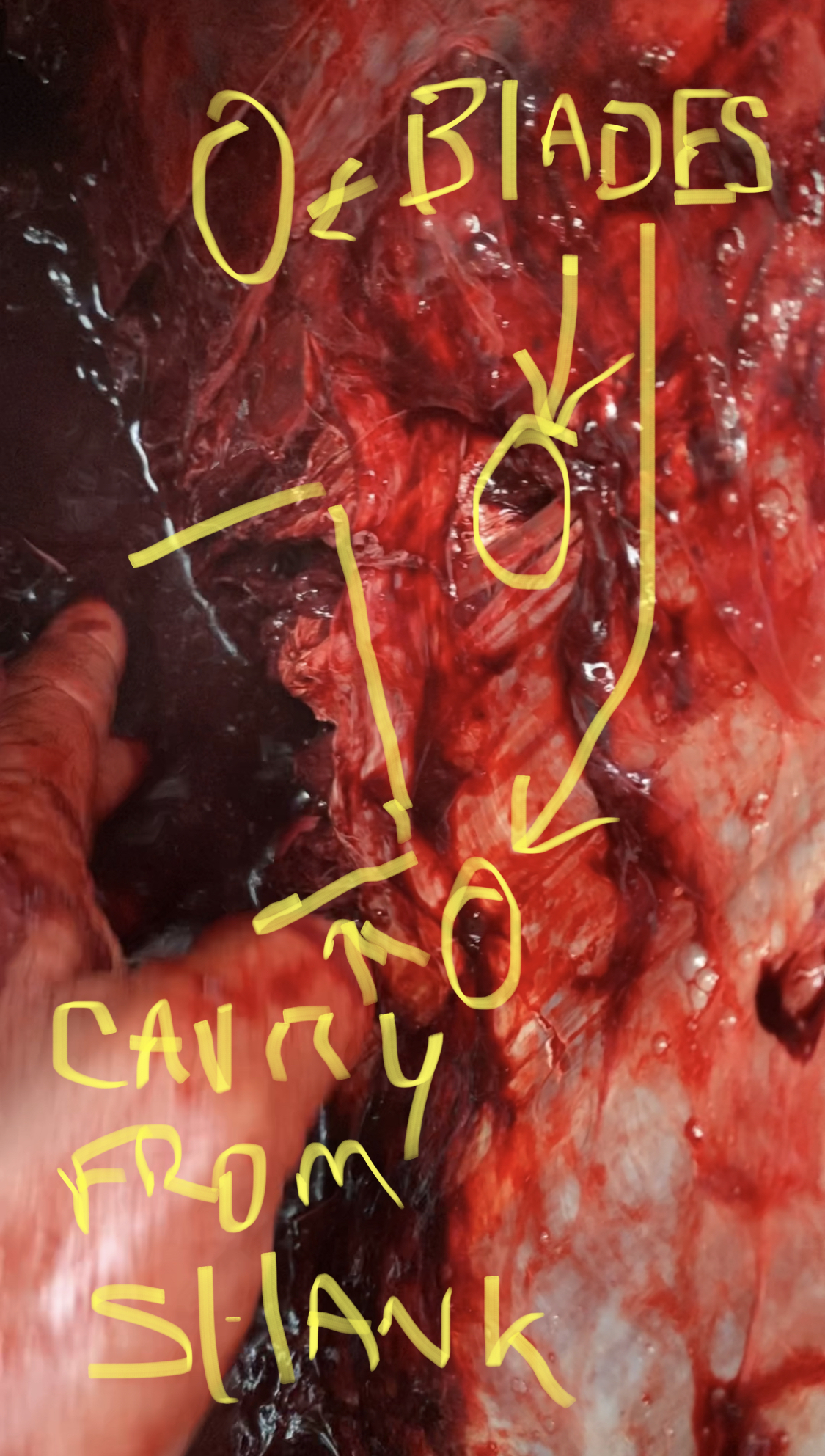 24802084-1734-4D12-AD0C-E89591C12DD5.jpeg