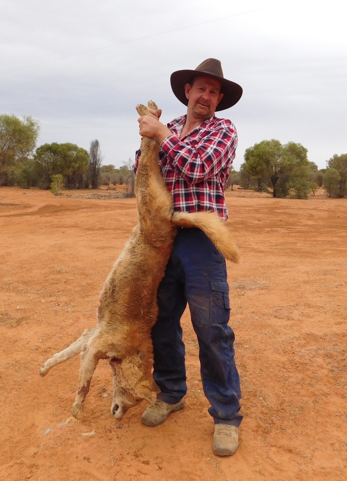 AUSTRALIA What I Normally Hunt In Australia