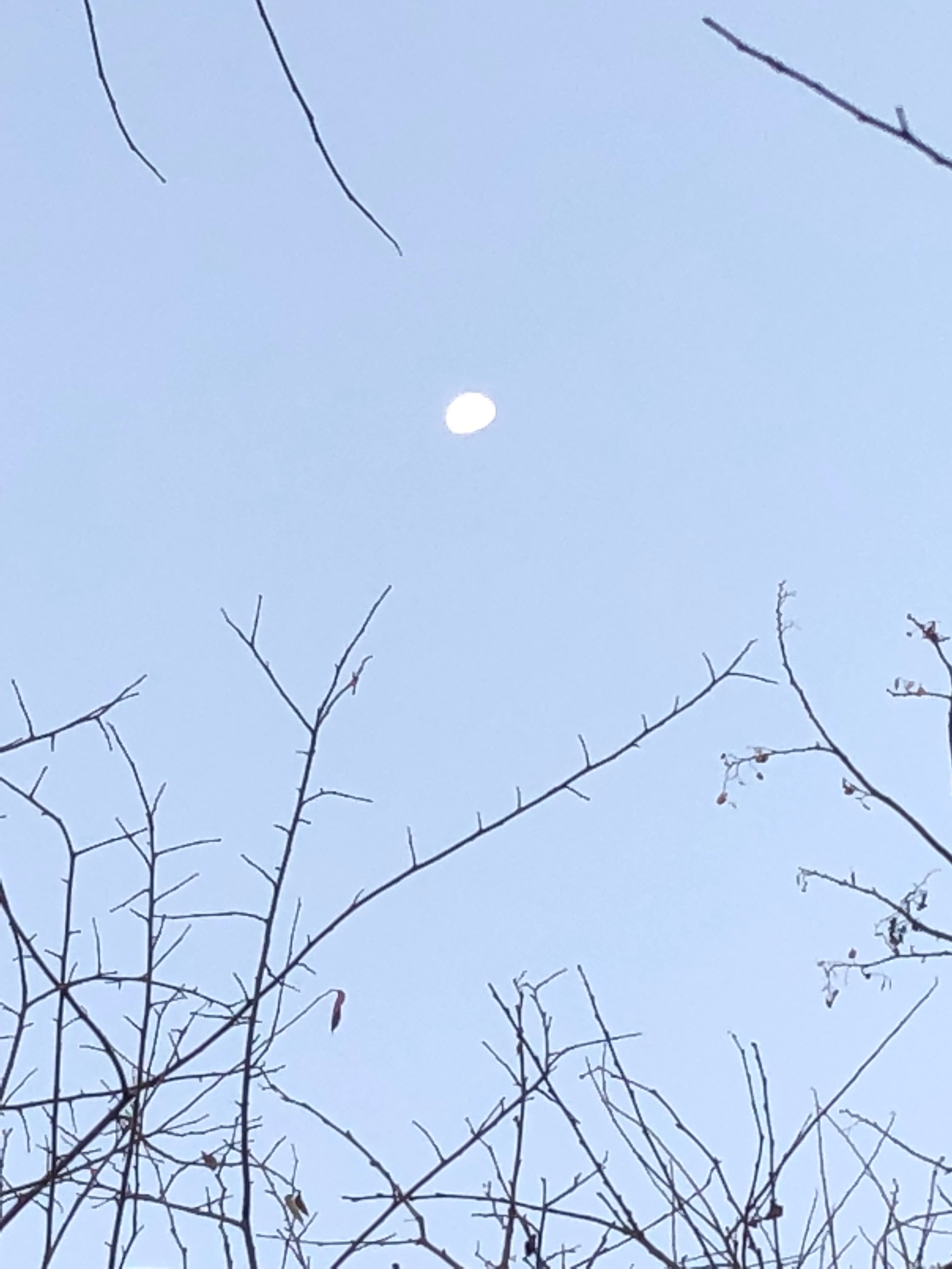 3. moon.jpg