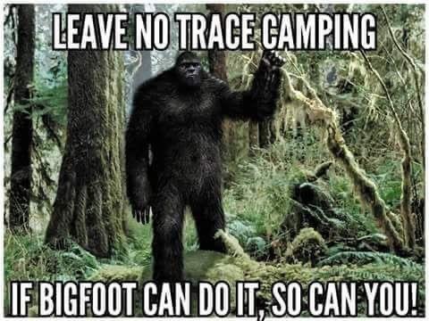 396B1D9B-9DAC-419B-8043-F6C085D426E0.jpeg