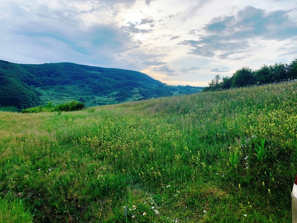 3_First hunting area.jpeg