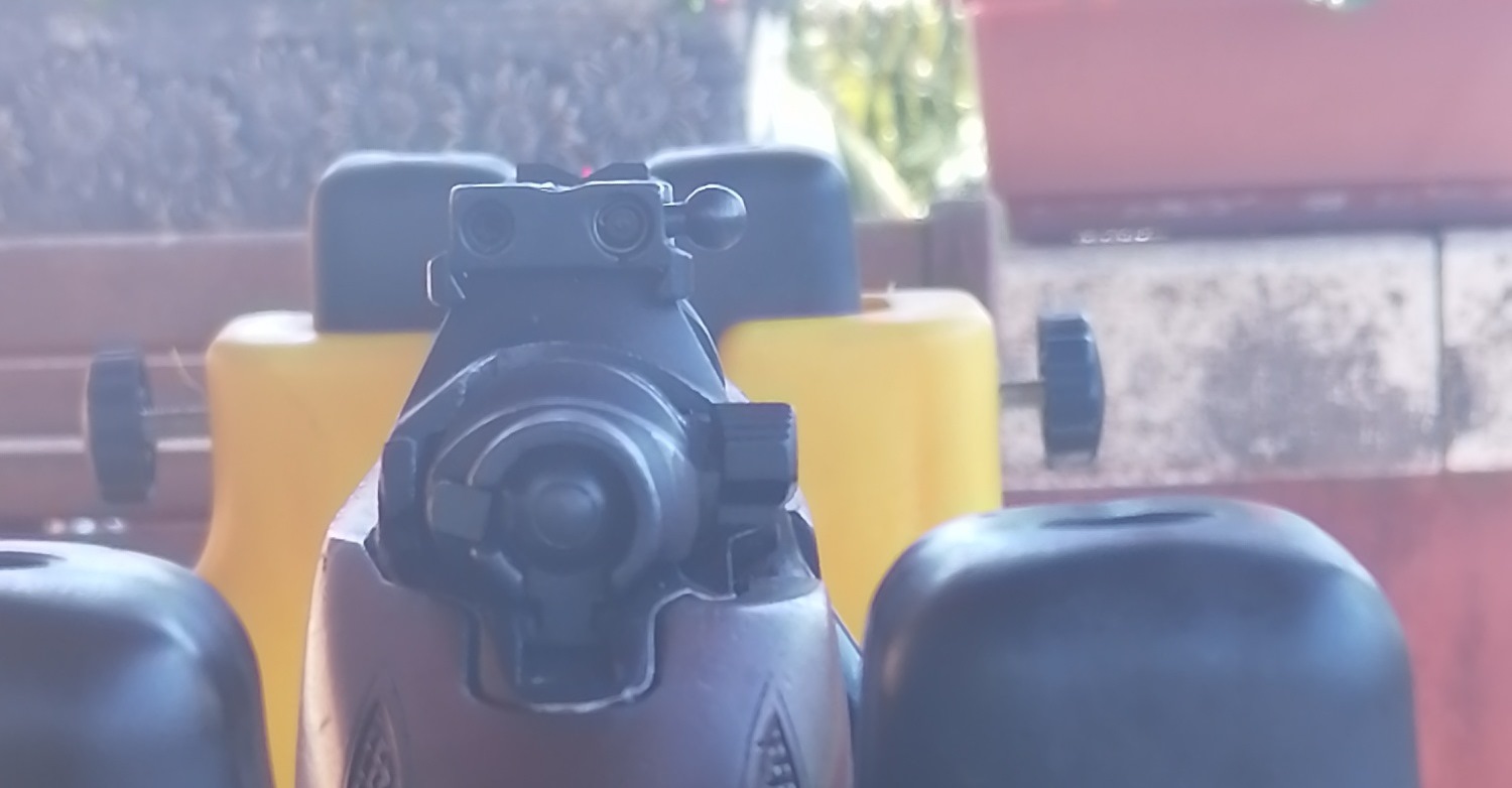 4 rear sight over the scope bases.jpg