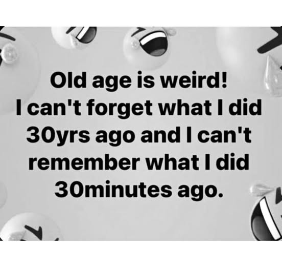 491887979_1448227896174022_7374745633715561860_n.jpg