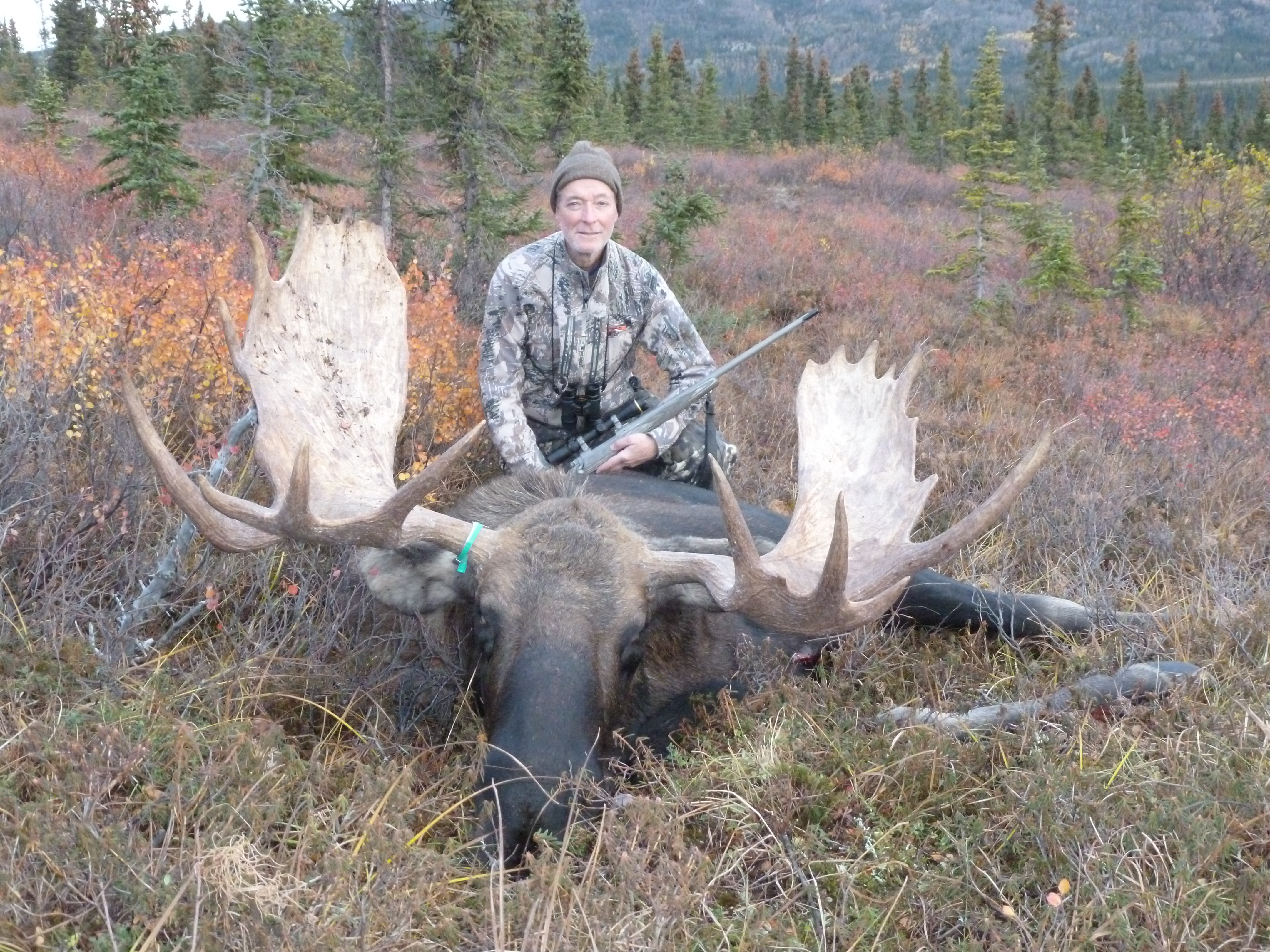 55 inch moose Castle Rock Outfitter Sept 20 2022.JPG