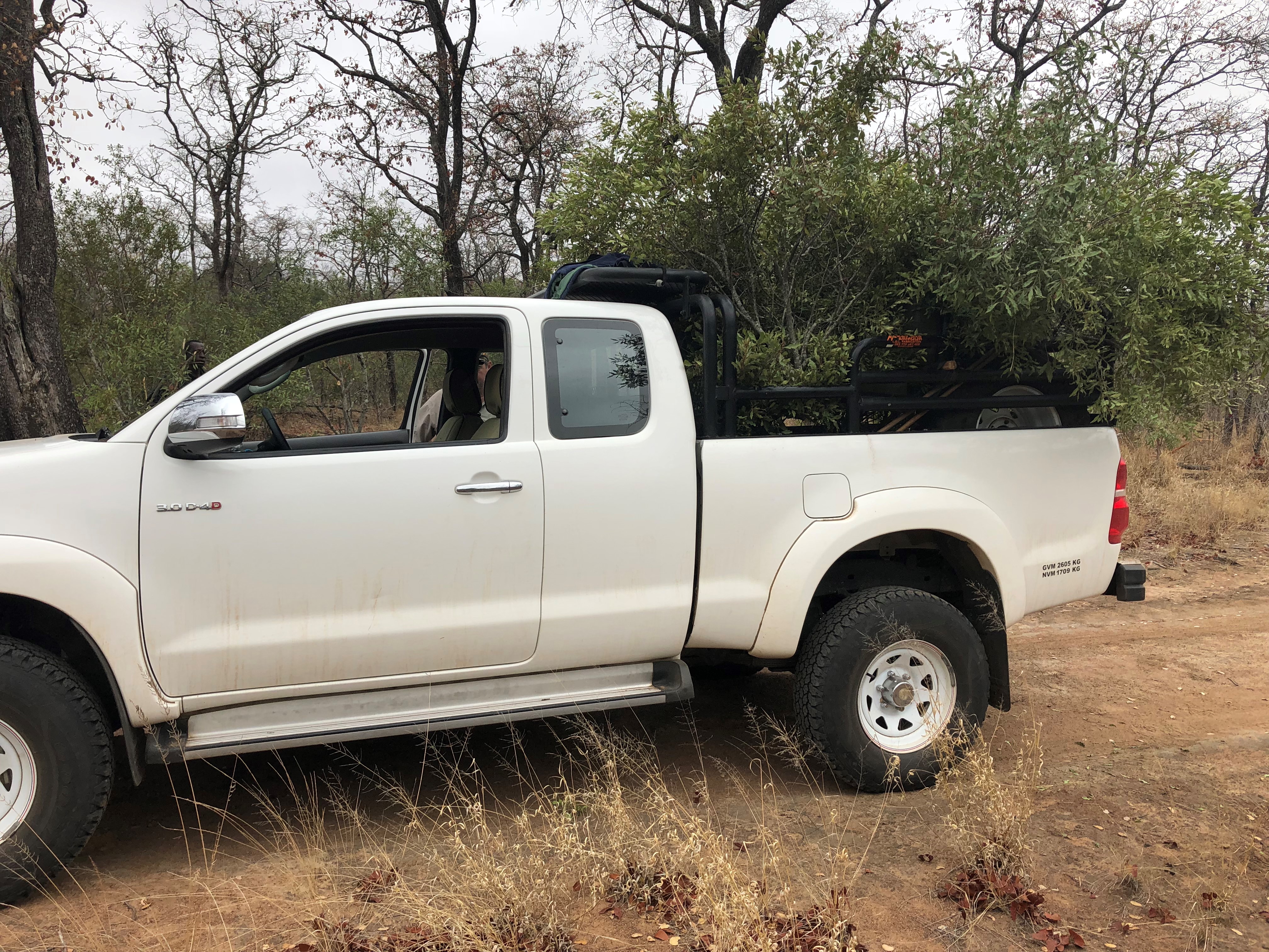 6 another load of green branches.jpg