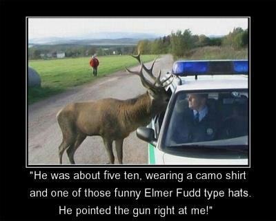 63837d1350659209-hunting-funny-moose-jpg.jpg