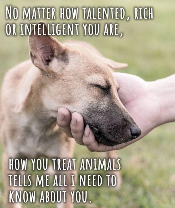64FE5F12-E468-46E3-97E7-BA2B057166E4.jpeg