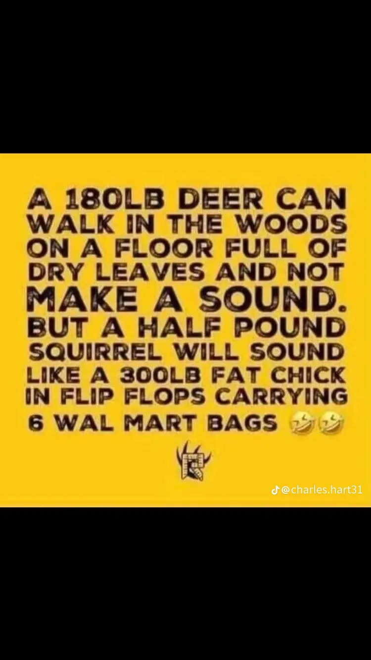 68b904eff69986ce0215b2b9f55.jpg