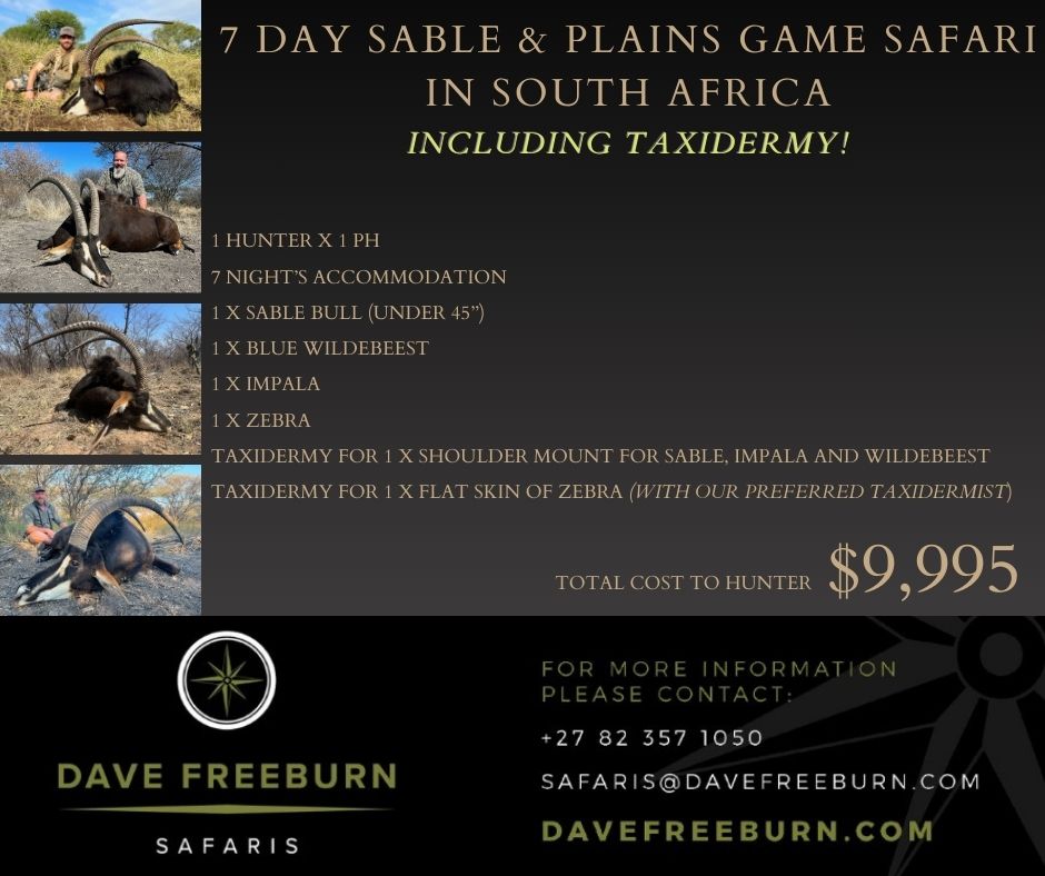 7 Day Sable, Plains game.jpg