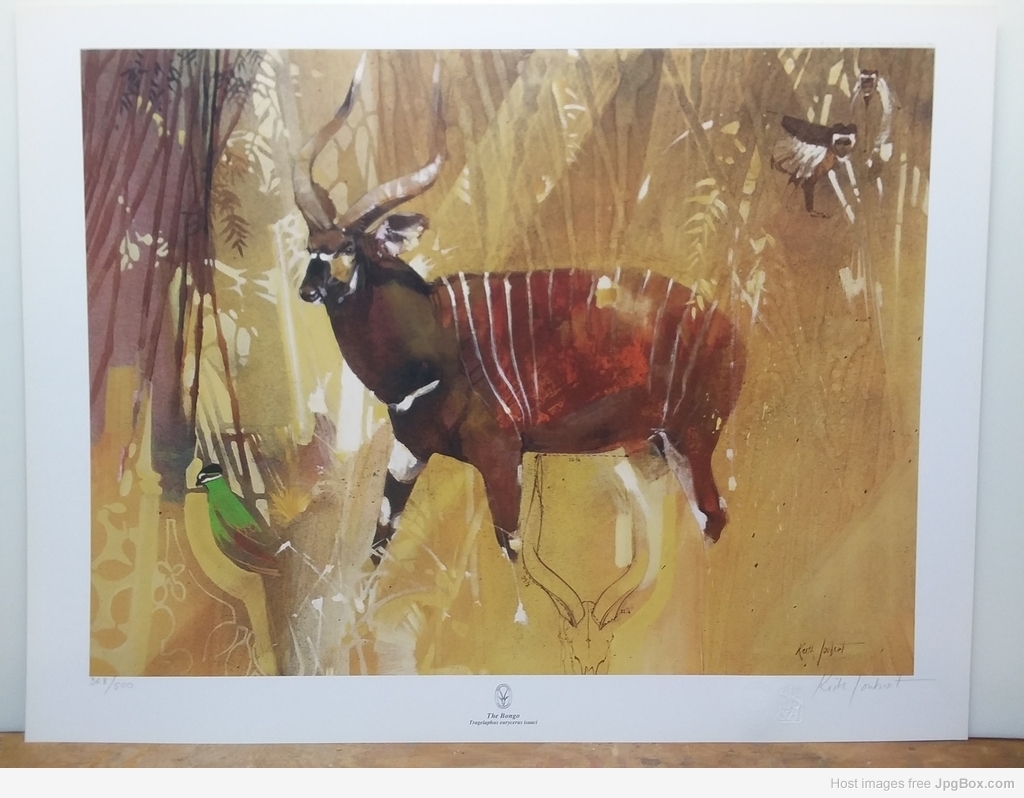 70846_1024x768.jpg 70846_1024x768.jpg