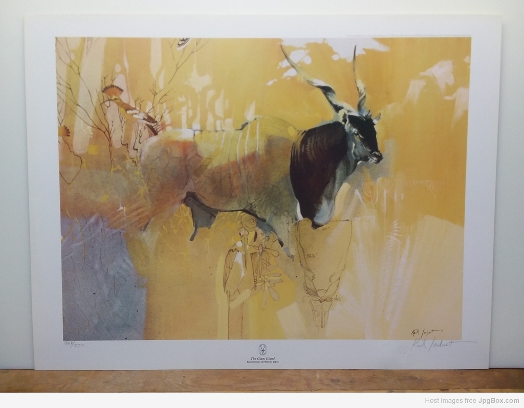 70847_1024x768.jpg 70847_1024x768.jpg