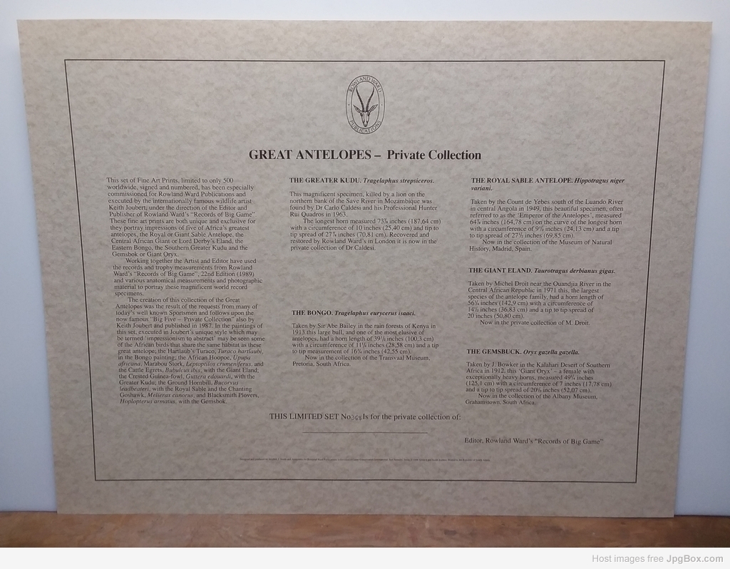 70851_1024x768.jpg 70851_1024x768.jpg