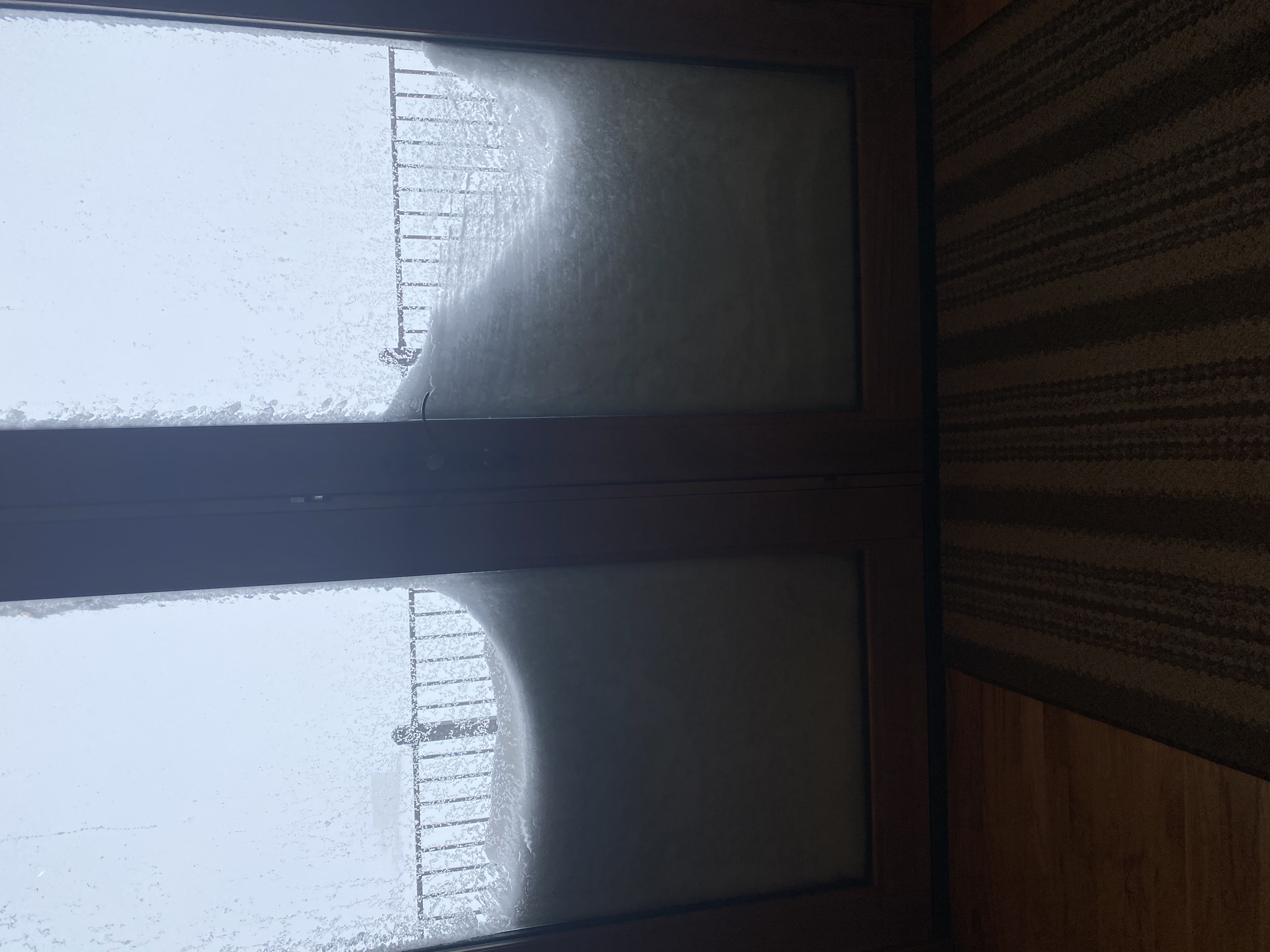 76768ADB-4D51-434D-BC0A-6243D30F59C4.jpeg