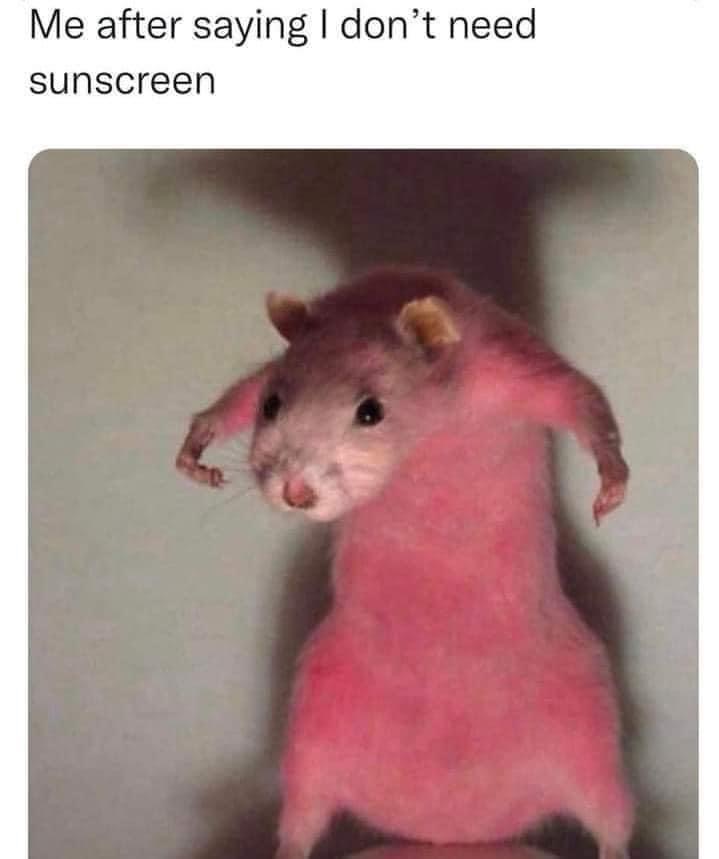 7EFBEDCA-1355-4209-9FB7-D958868F03B1.jpeg