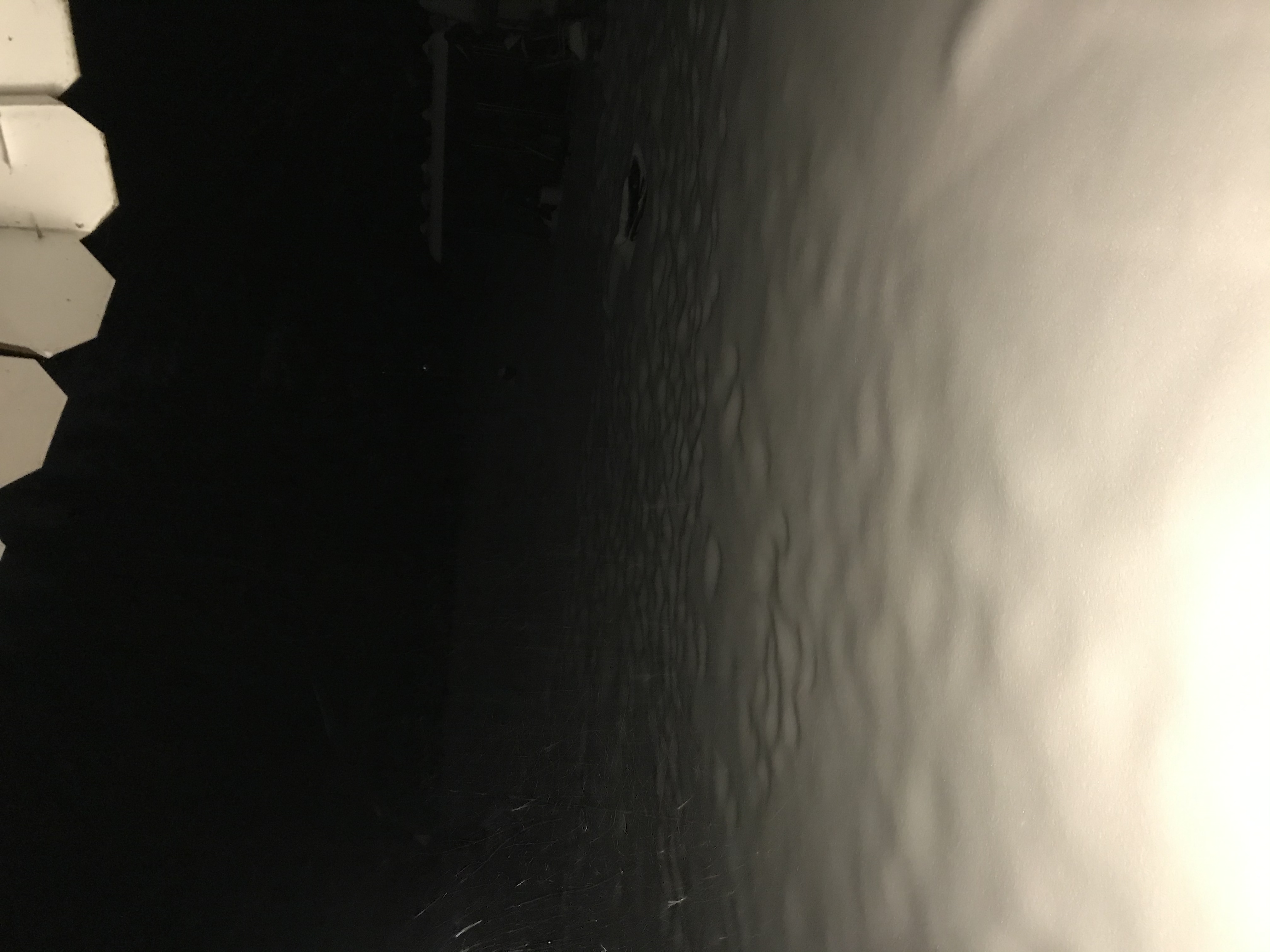 8C16248D-4D13-46CB-9ED5-B5BF5FC617BE.jpeg
