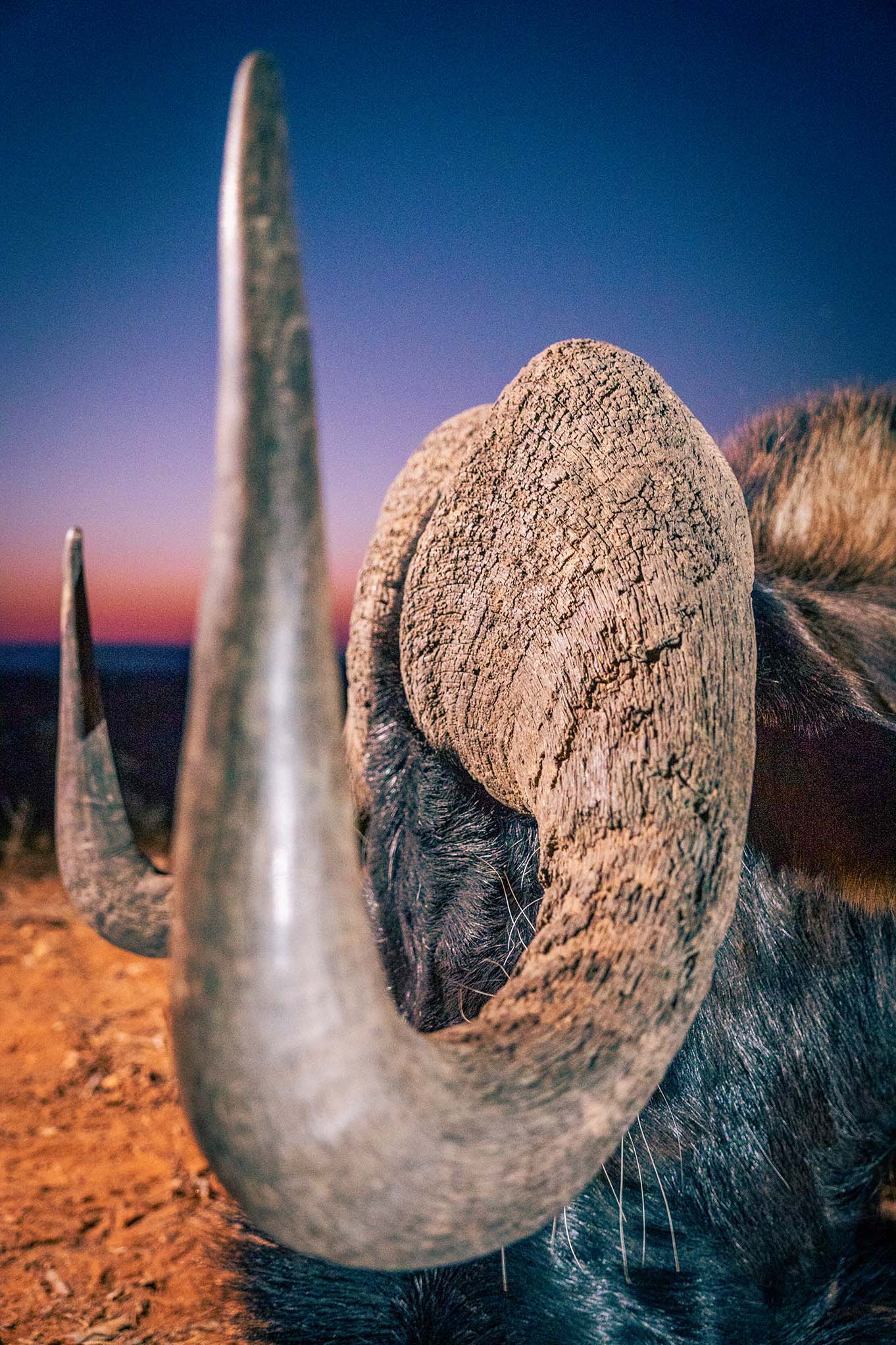 _DSC5407.jpg _DSC5407.jpg