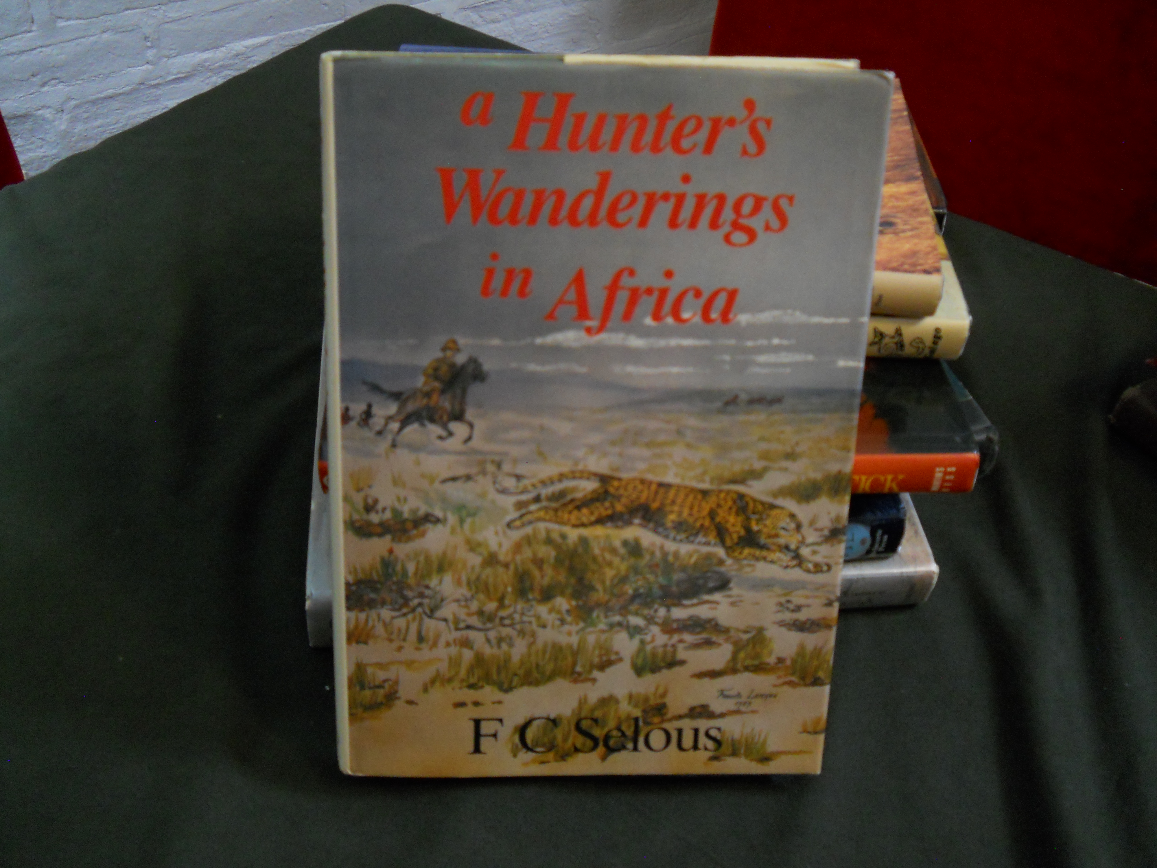A Hunter's Wanderings in Africa.JPG