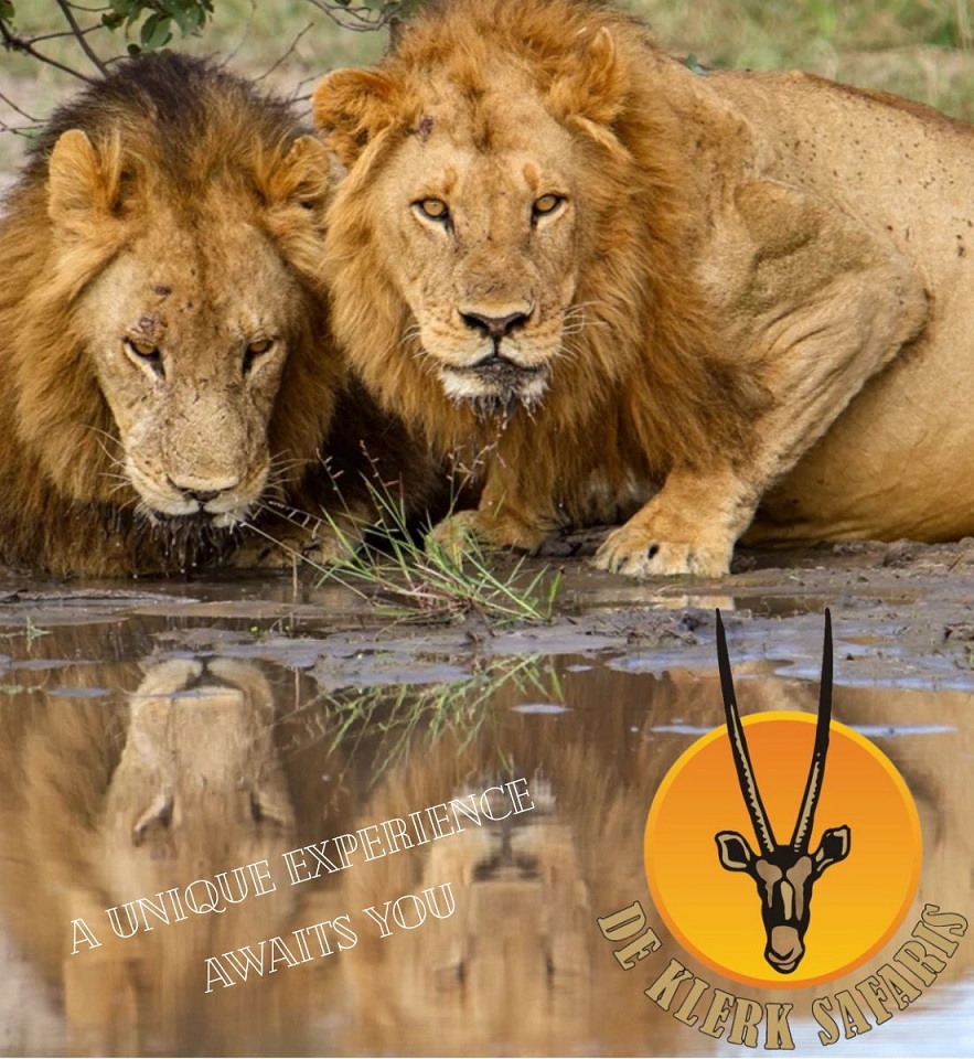 A Unique Experience Awaits You.jpg