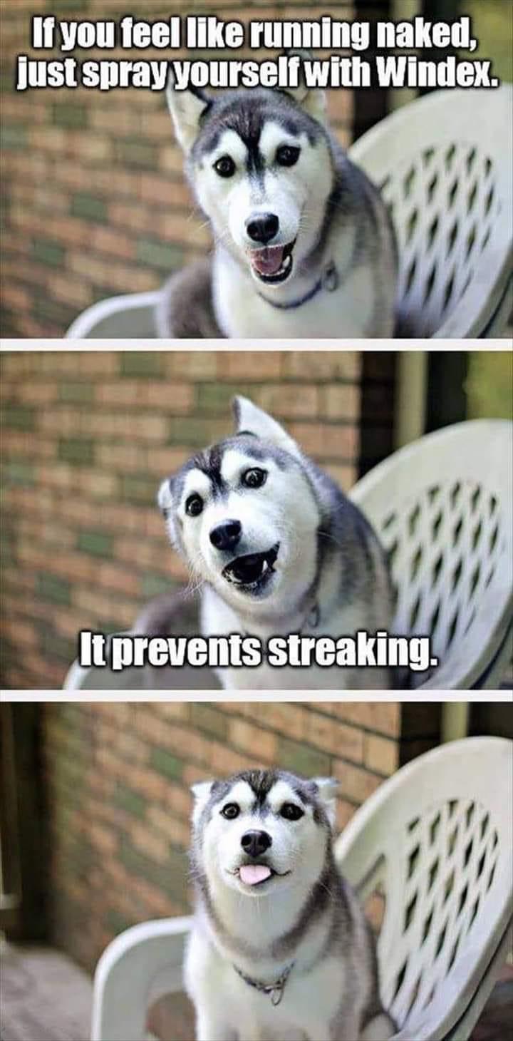 A0AA103F-F62C-4106-8AA2-C1FBB68F8155.jpeg