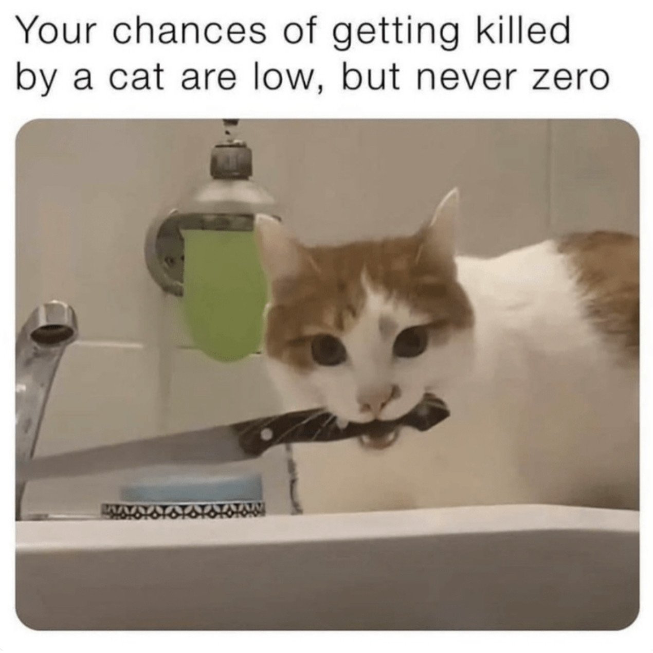 ab4d10ede9e965d7.jpeg