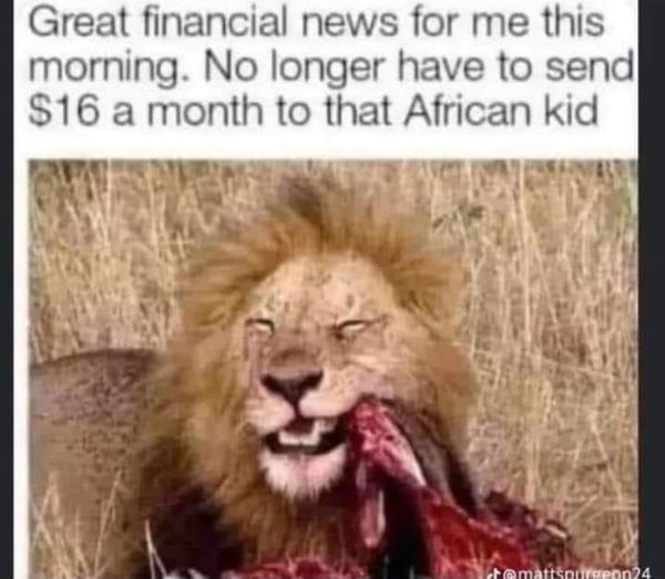 africa meme.jpg