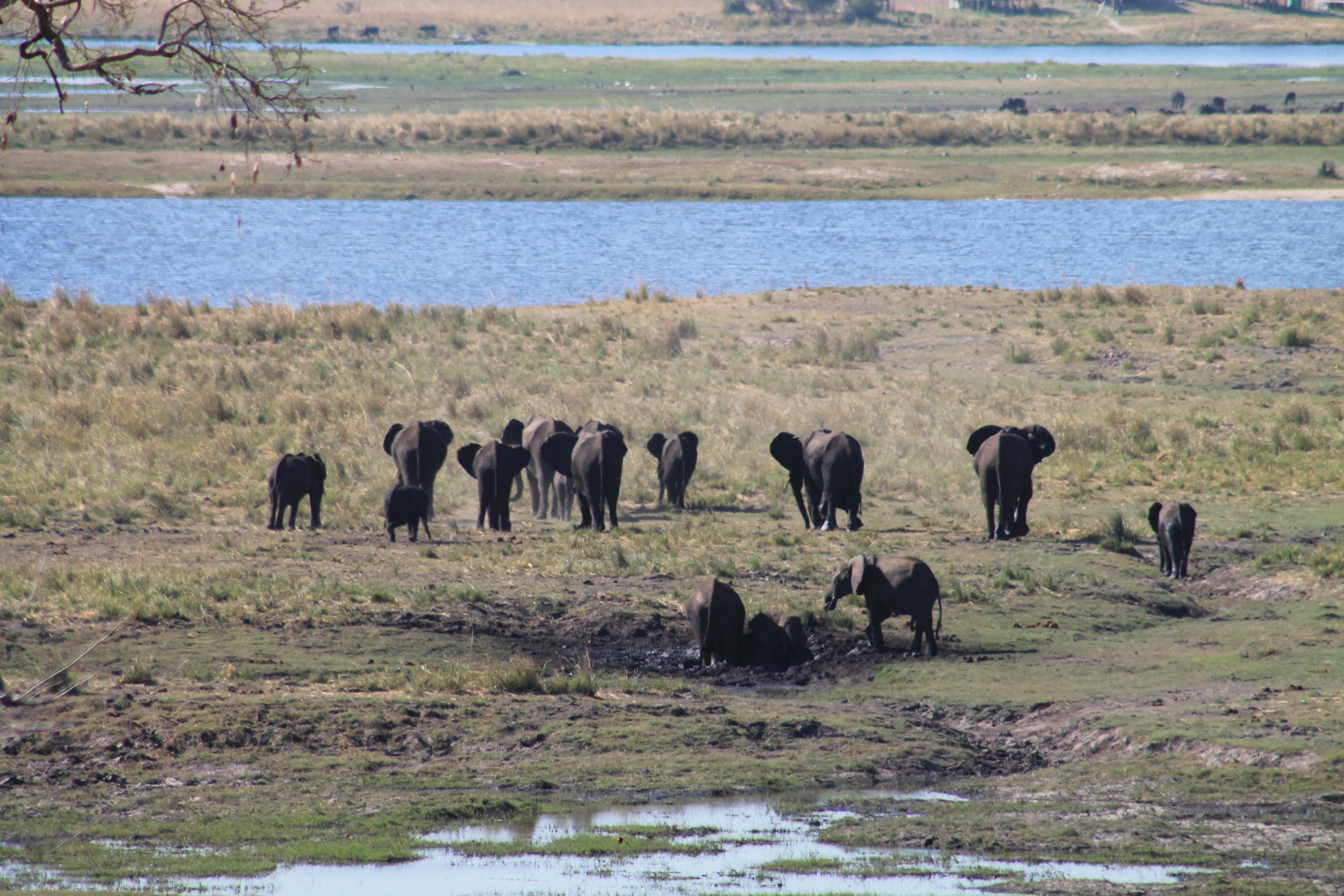 Africa Pictures 2 567.jpg