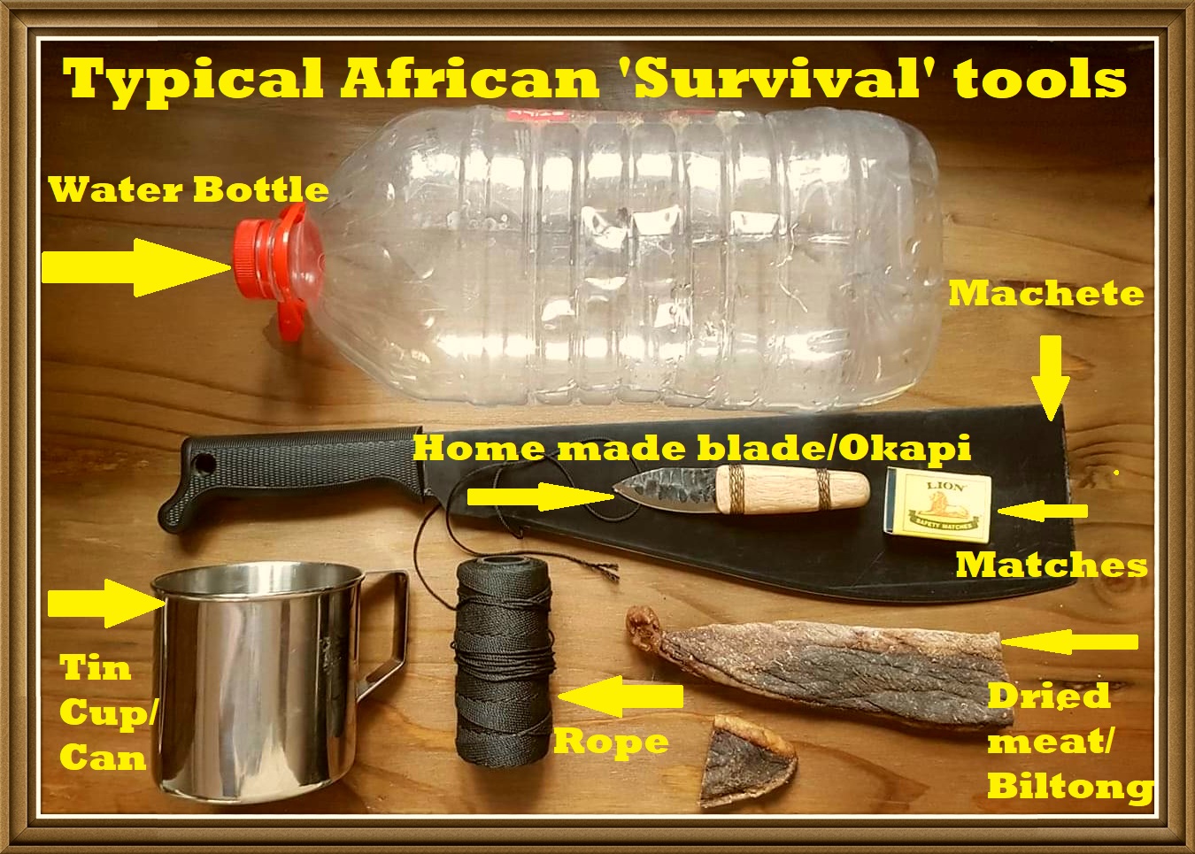 African survival.jpg