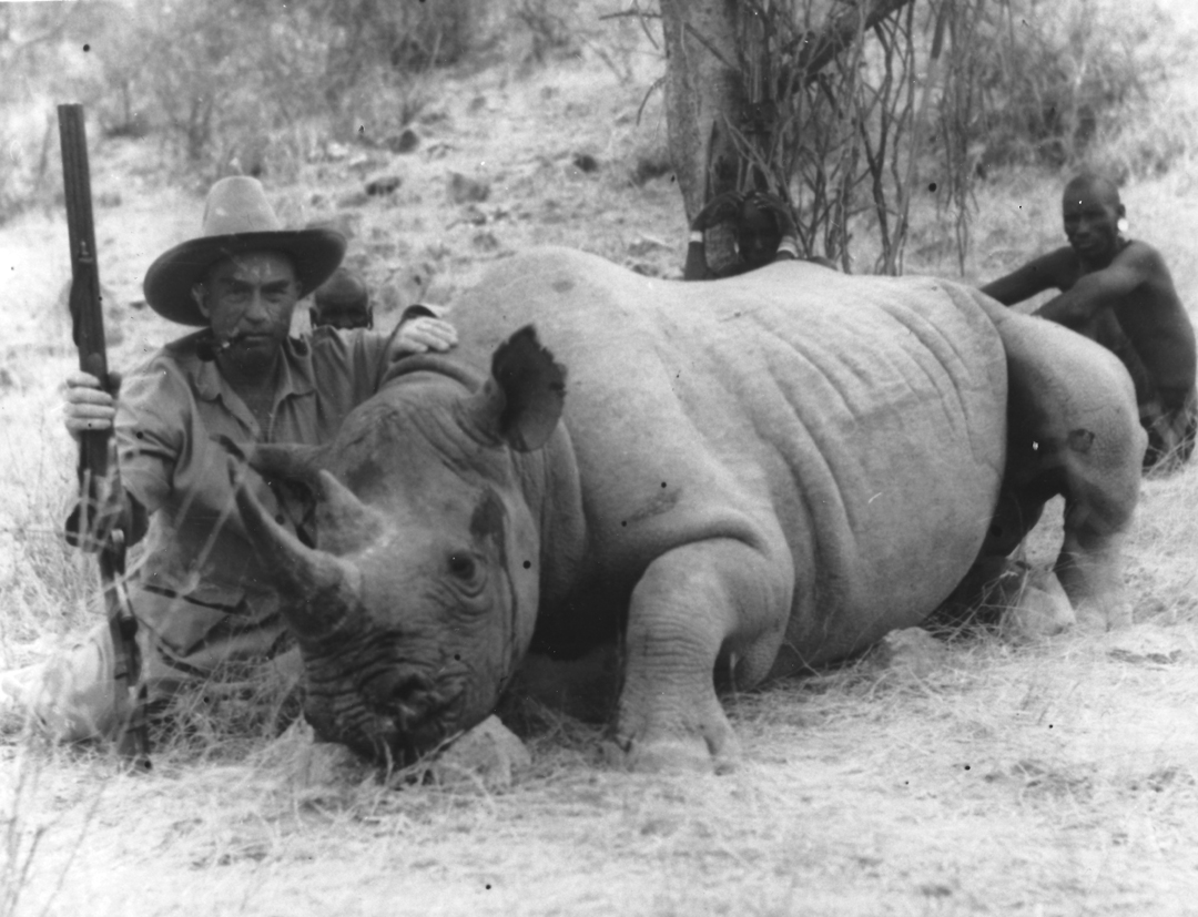 AH_Keith-Rhino.jpg