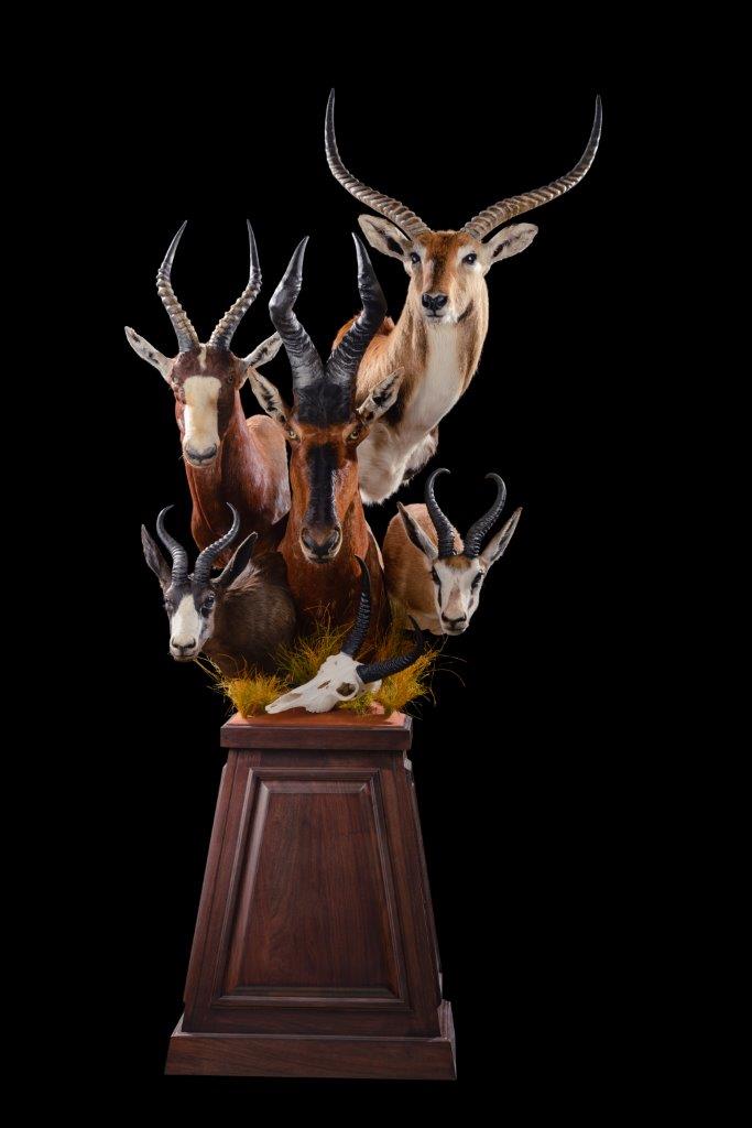 Antelope Pedestal Combination (Custom)- GG246.jpg