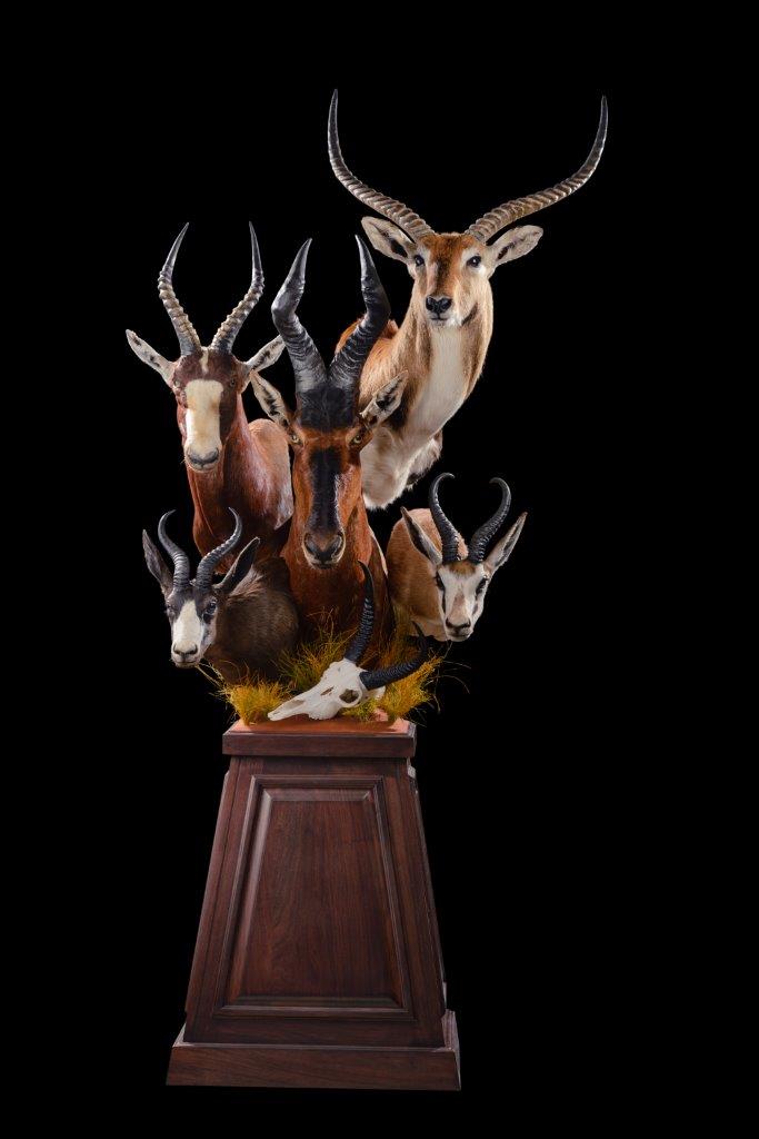 Antelope Pedestal Combination (Custom)- GG246.jpg