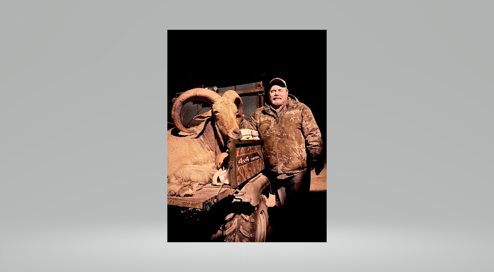 aoudad2.png