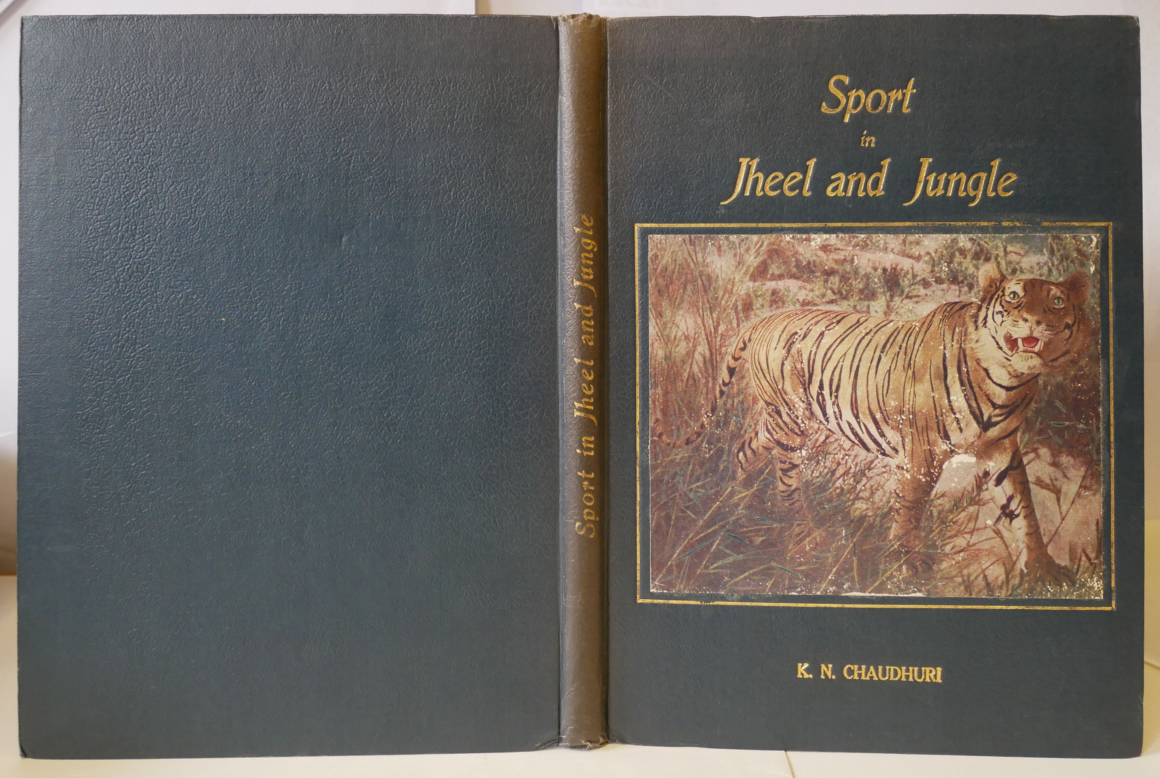 Bøger Sport in Jheel and Jungle.jpg