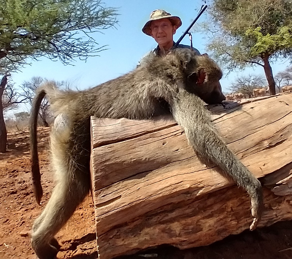 Baboon .jpg