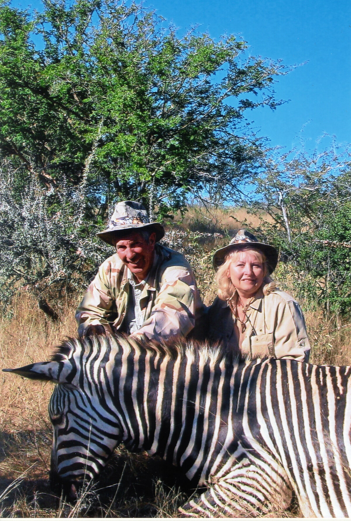 back of book--zebra.JPG