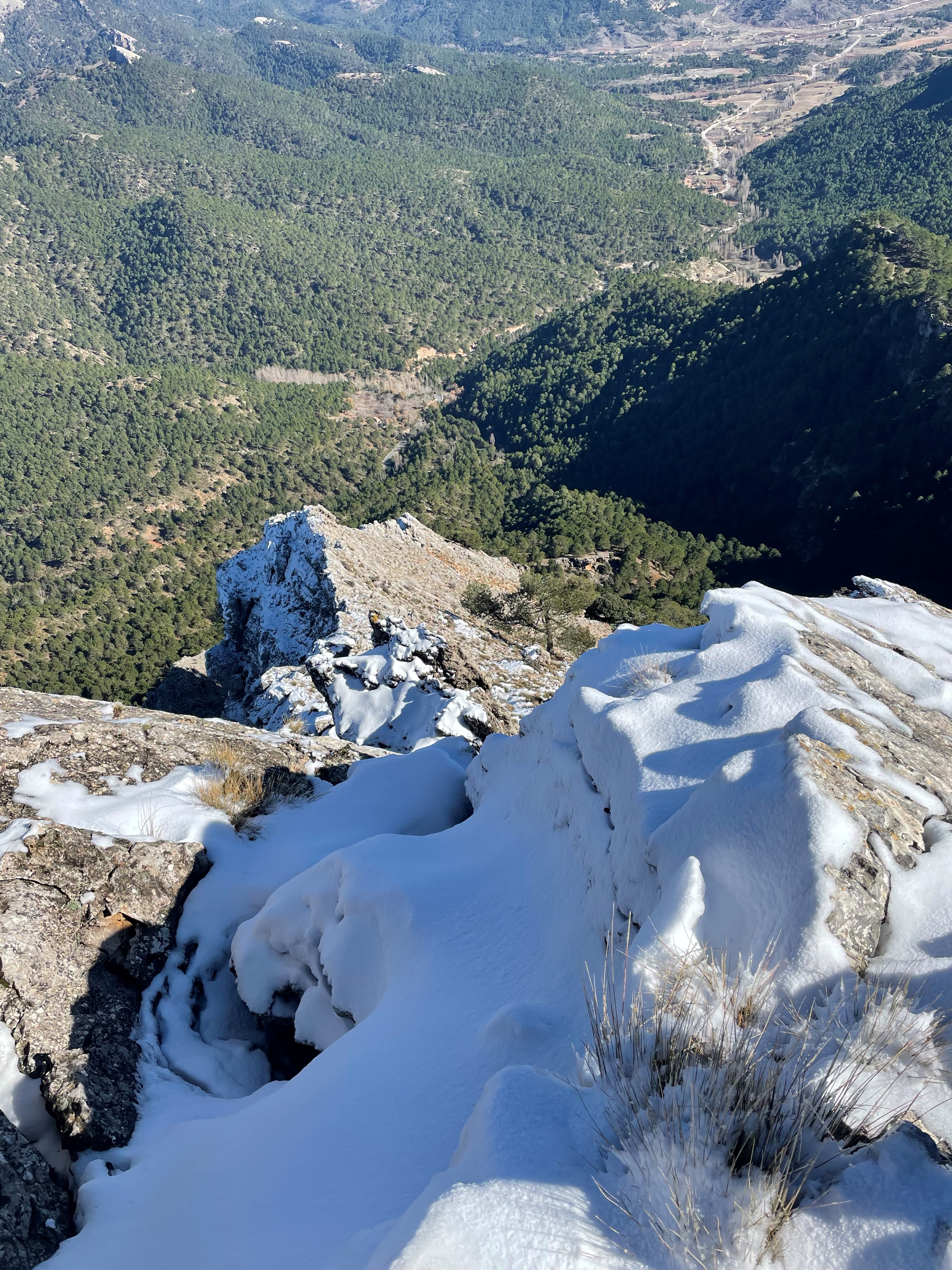 backside of mtn ibex IMG_0920 (2).jpg