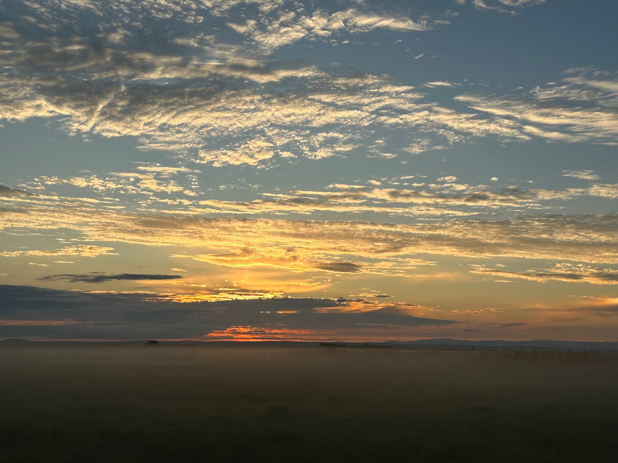 BD24F500-158E-4E13-993C-C3C3E17B7452.jpg