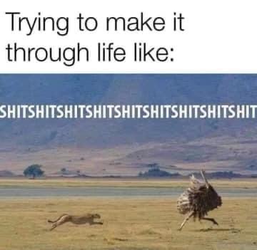 BE31E860-F82D-402D-A7DF-6A225A23A98E.jpeg