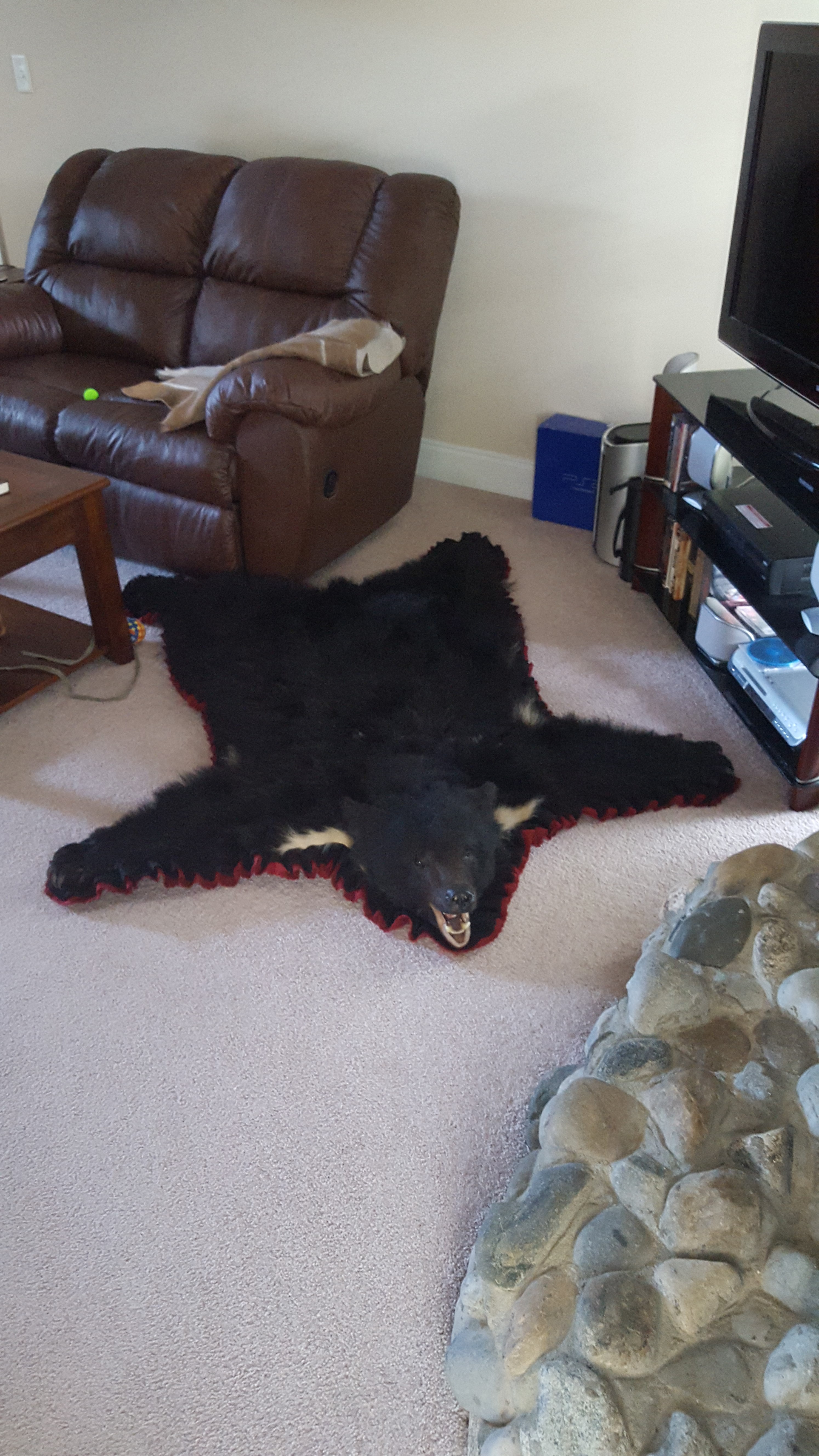 Bear rug.jpg